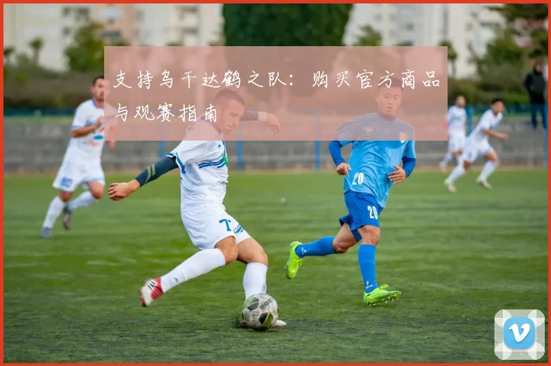 支持乌干达鹤之队:购买官方商品与观赛指南